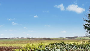 Photo 11- click for photo gallery